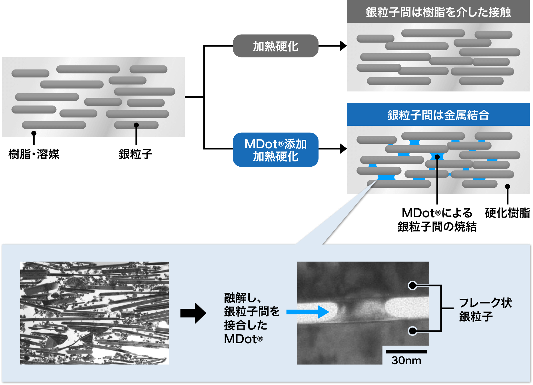 焼結助剤としてのはたらき概念図