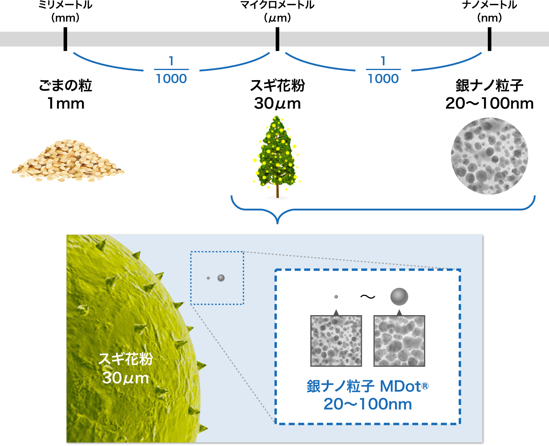 銀ナノ粒子のサイズイメージ