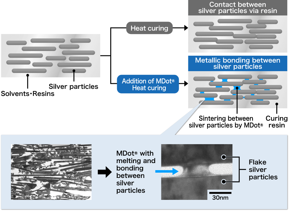 Functions as a sintering aid